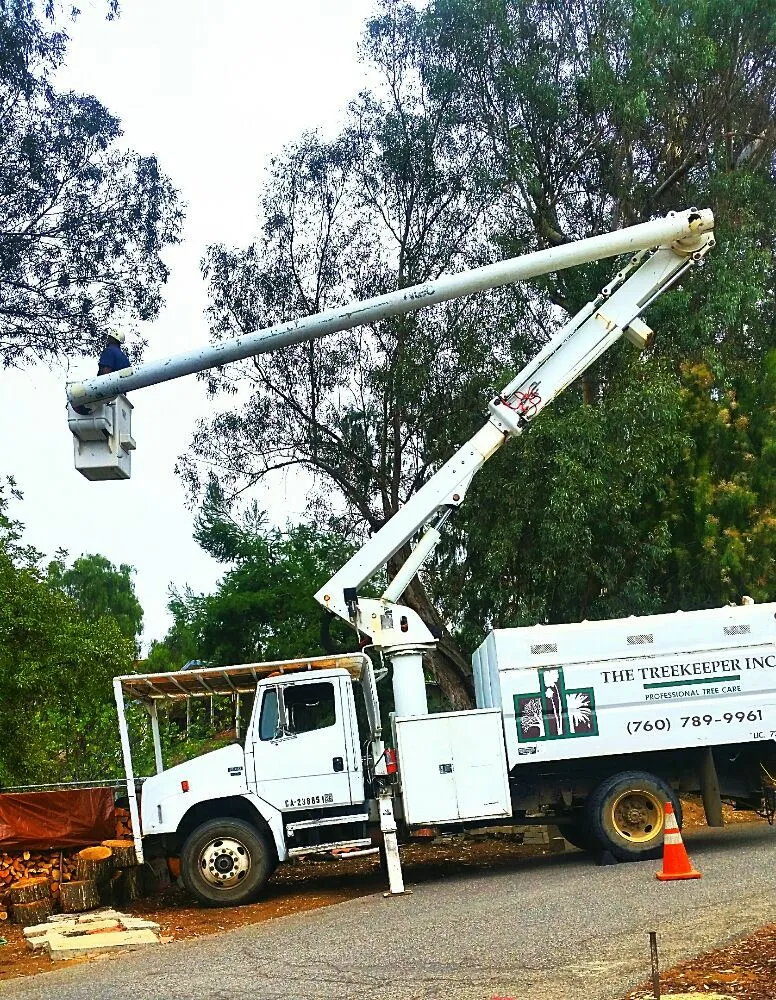 The Tree Keeper boom truck lifting a climber into a tree