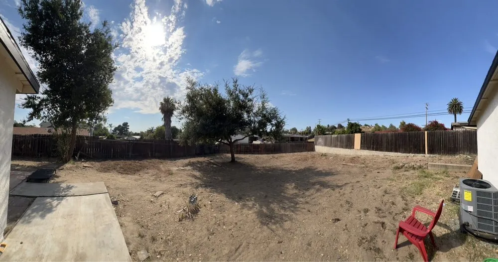 Backyard cleared of overgrowth and dead trees