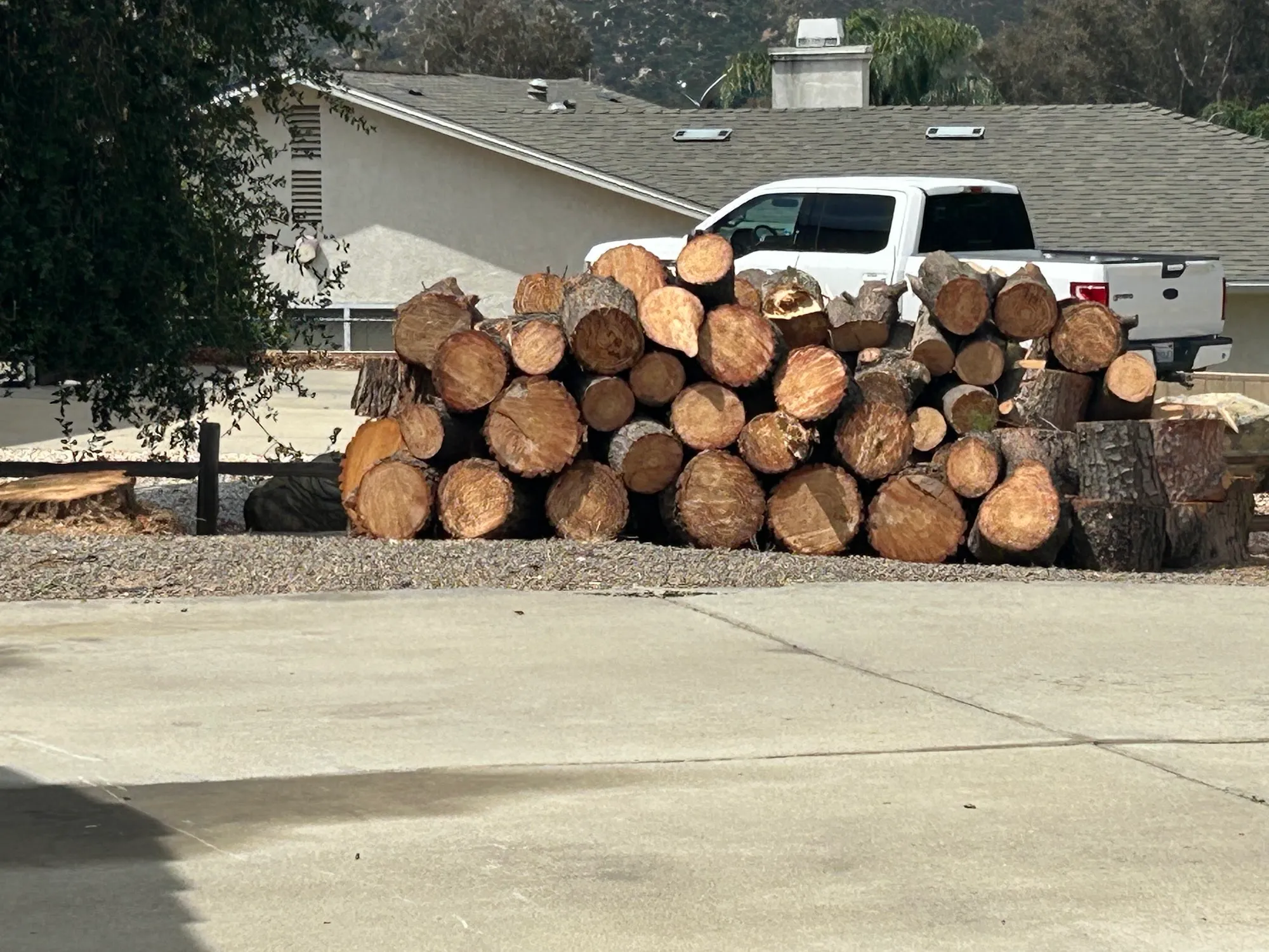 Neatly stacked rounds of cut wood beside a driveway